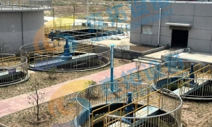 中心傳動(dòng)刮泥機(jī)你真的懂嗎?